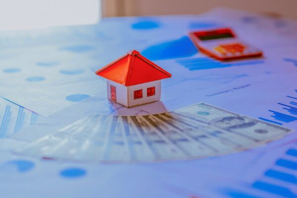 Optimiser vos revenus locatifs : comment choisir le statut LMNP idéal ?